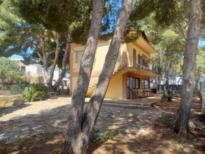 Villa con Pineta per Famiglie
